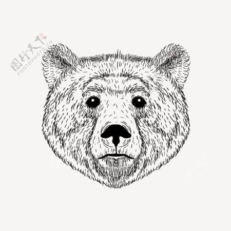 黑白手绘卡通熊头插画