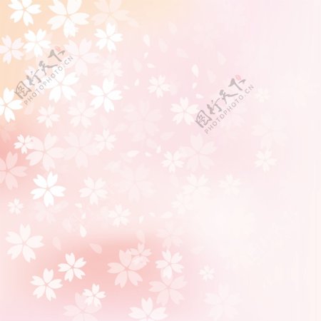 矢量粉白色樱花背景