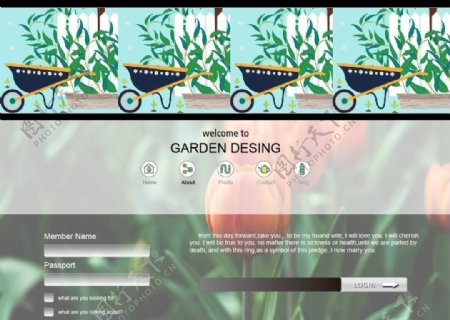 园艺网页设计