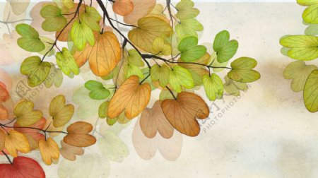 彩色手绘枝叶秋天背景
