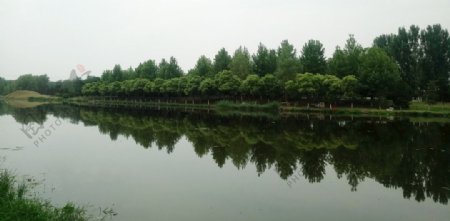 夏季绿色湿地公园