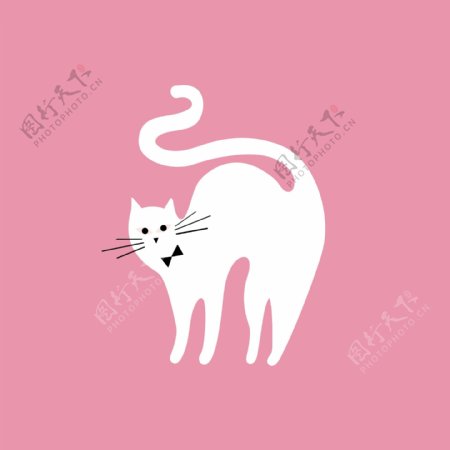 可爱的矢量猫logo模板