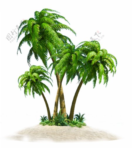海边椰子树元素