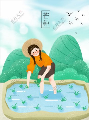 清新二十四节气芒种夏季夏日插画