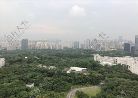 深圳公园高楼