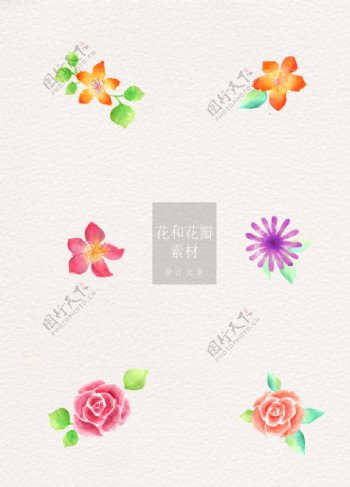 彩铅花朵花和花瓣水彩手绘ai矢