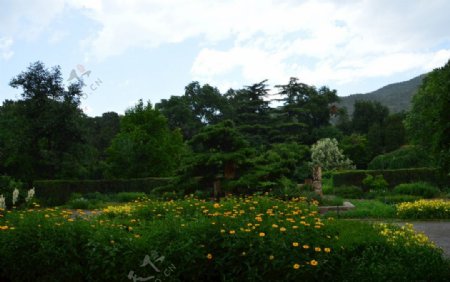 植物园风景