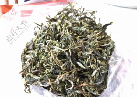 东川彝林茶