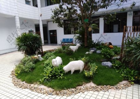 摄影风景学校景观羊