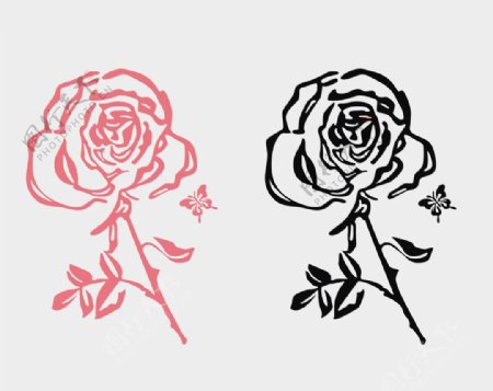 玫瑰与蝴蝶