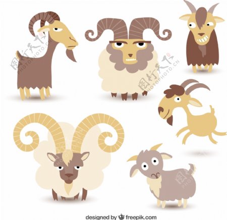 山羊插图