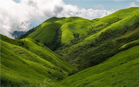 草原牧场