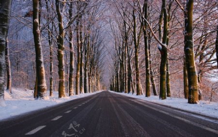 冬日落雪的公路