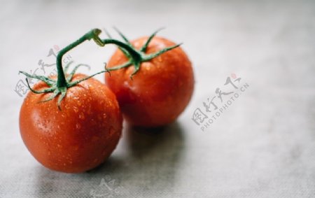 鲜红西红柿
