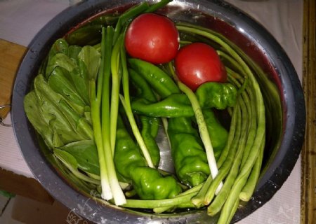 盆子里的蔬菜