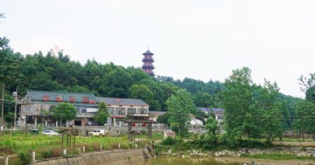 公园小景