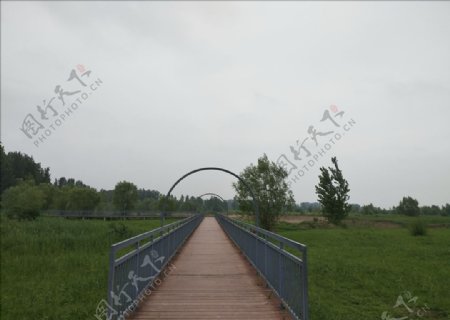 黄河湿地公园