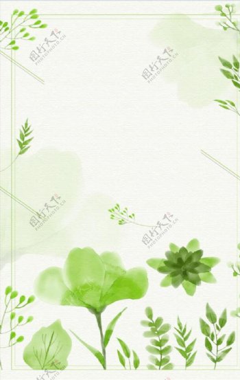 自然植物绿色清新海报主图背景
