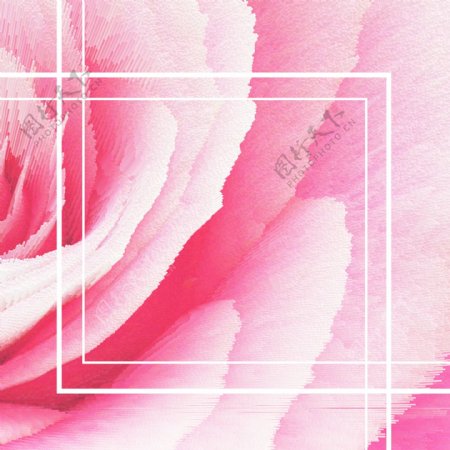 粉色玫瑰七夕浪漫背景