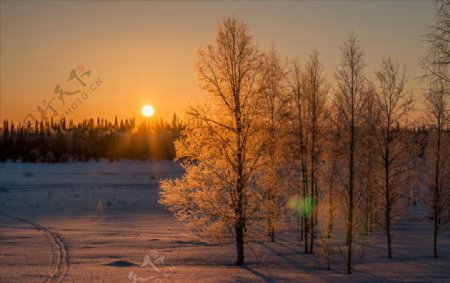 芬兰拉普兰区冬季日出和日落雪太