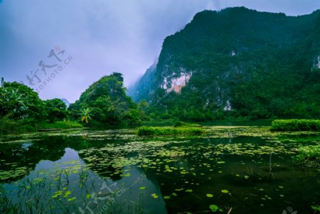 越南河流森林岩大自然