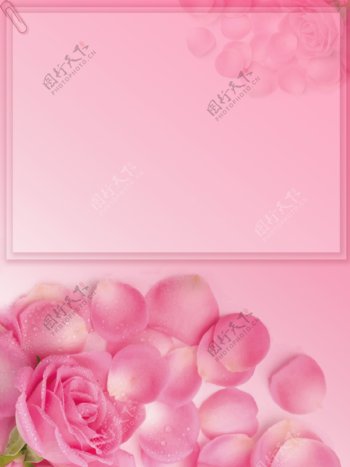 粉色情人节玫瑰花浪漫背景图