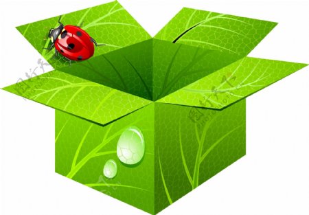 清新绿色纸盒瓢虫元素