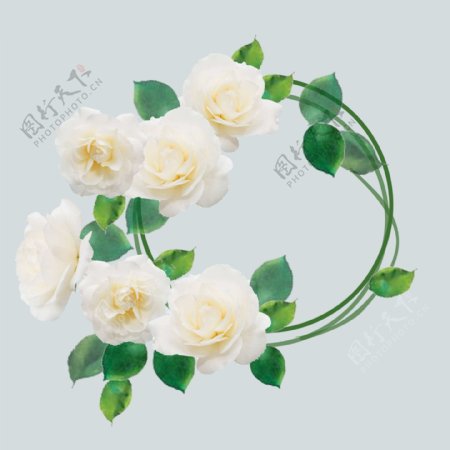 白玫瑰花素雅小清新圆边框