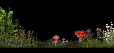 花草蘑菇动态背景视频