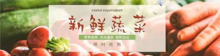 新鲜蔬菜网页banner