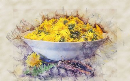 碗里的新鲜花水彩绘画