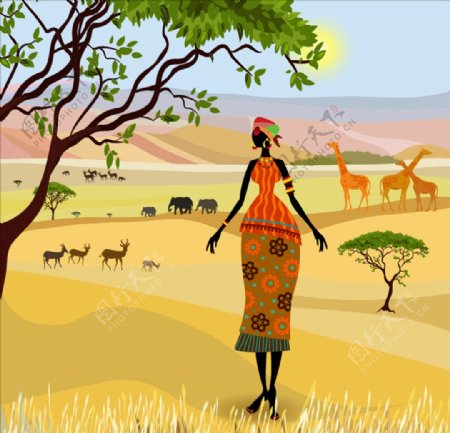 非洲女人插图