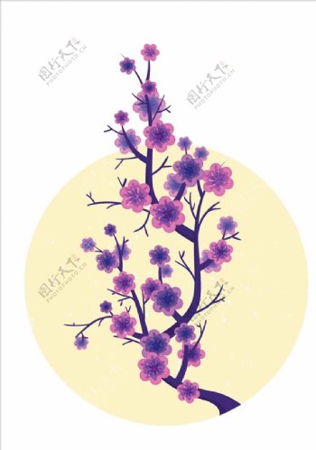 樱花紫红色树枝