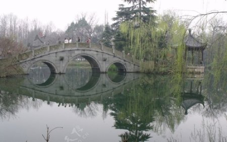 湖畔柳树桥公园