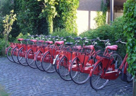 自行车单车共享单车脚踏车