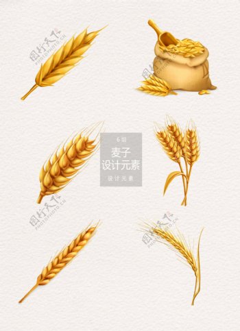 金色麦子麦穗矢量设计元素