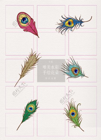 彩绘动物羽毛装饰设计