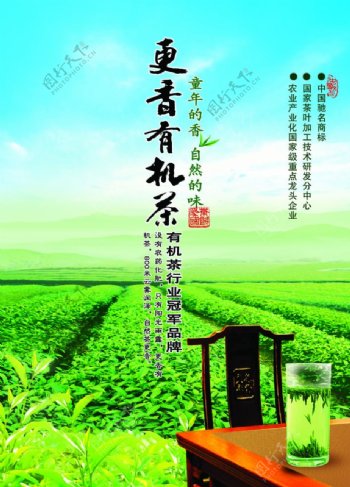 茶叶海报茶文化