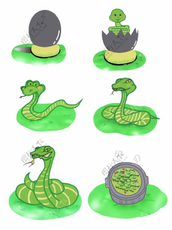 原创蛇动物生长过程成长可爱创意套图素材