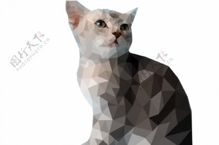 动物小奶猫个性创意几何LOGO