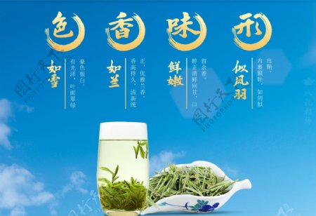安吉白茶茶文化展板