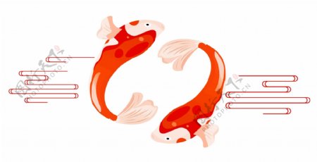 红色双条锦鲤鲤鱼