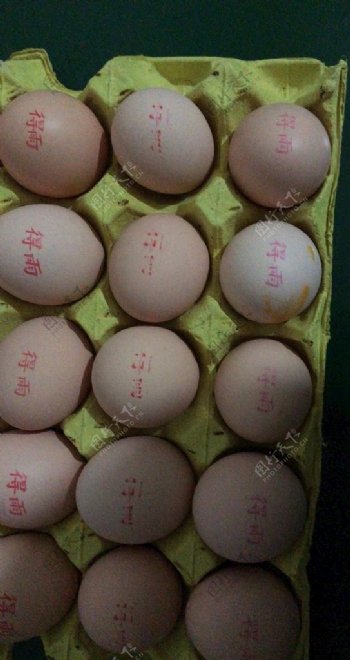 土鸡蛋鸡蛋