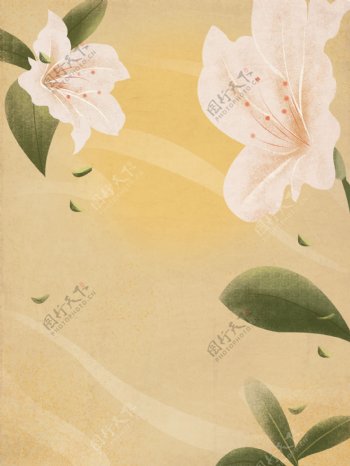 彩绘百合花朵背景设计