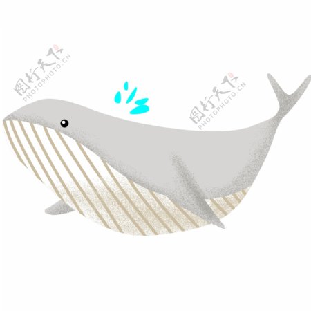 米白色卡通鲸鱼插画