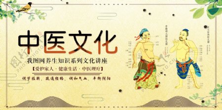 创意中国风中医文化展板素材