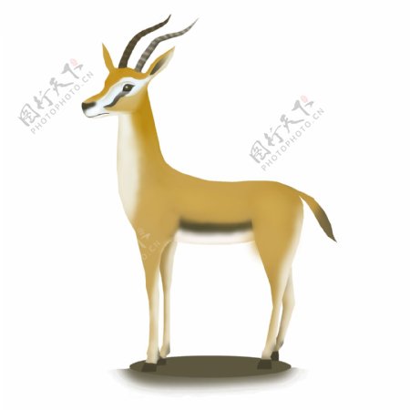 可商用高清手绘动物非洲羚羊