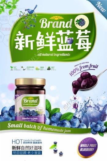 蓝莓水果促销海报.psd