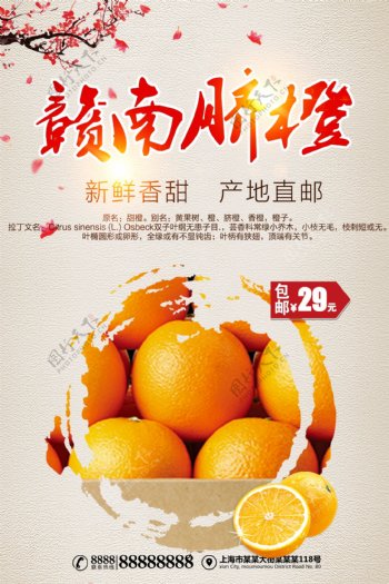黄色背景中国风简约大气脐橙宣传海报