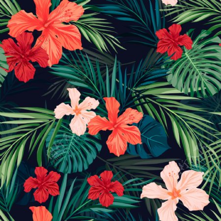 热带植物花卉